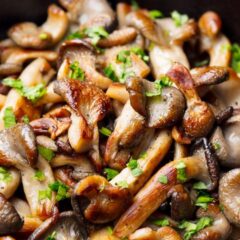 Диви горски гъби